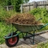 10 Važnih pitanja o prirodnim gnojivima ili vrtu bez kemije